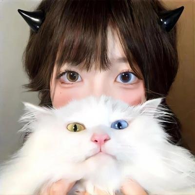 明星梦